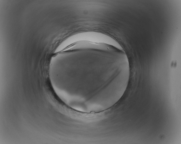 X0000112110031200909151235