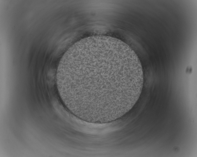 X0000112110034200909151235