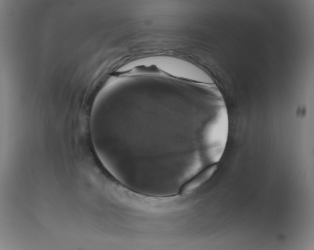 X0000112110035200909151235