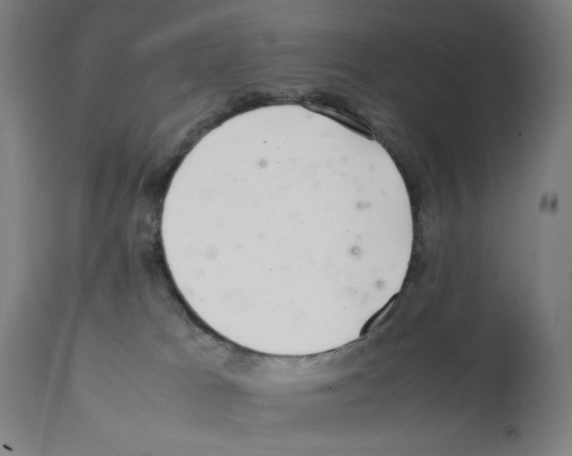 X0000112110037200909151235