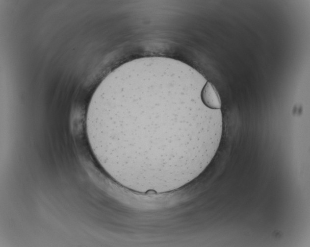 X0000112110038200909151235