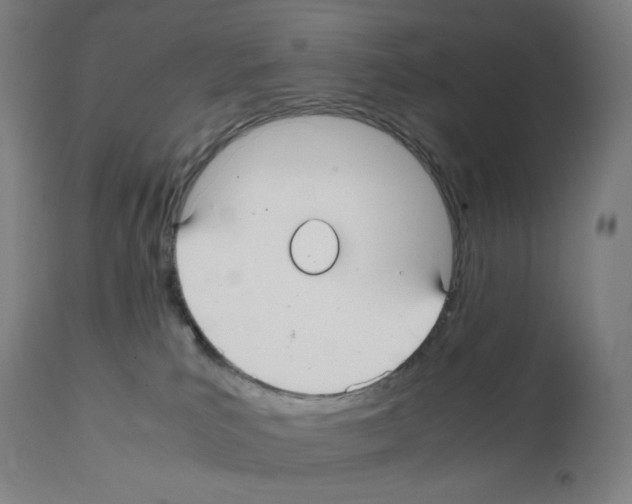 X0000112110039200909151235
