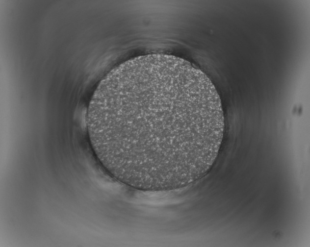 X0000112110041200909151235