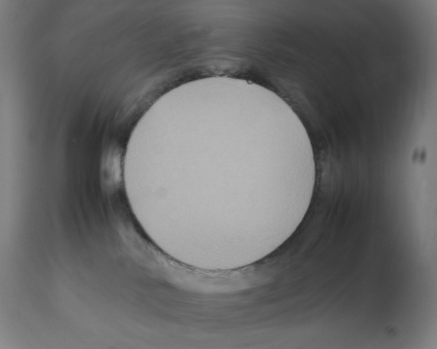 X0000112110042200909151235