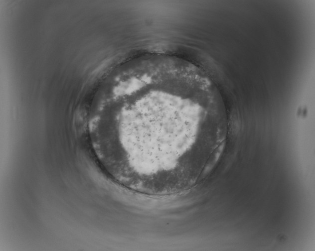 X0000112110043200909151235