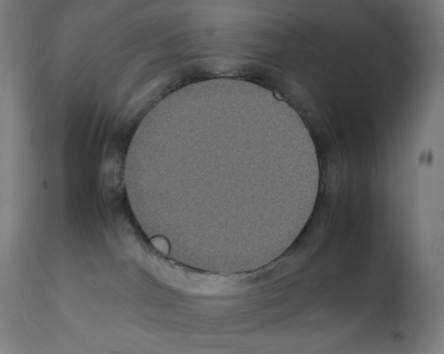 X0000112110044200909151235