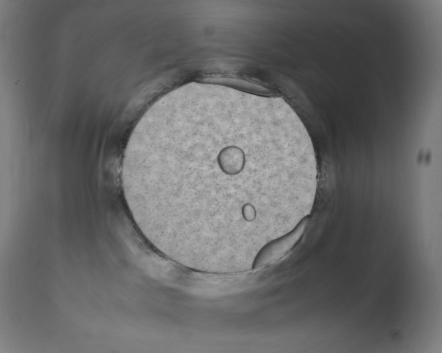 X0000112110045200909151235