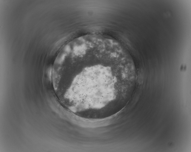 X0000112110047200909151235