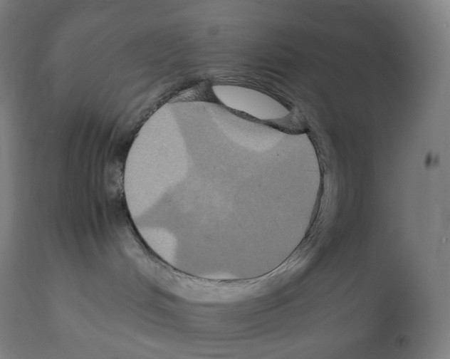 X0000112110048200909151235