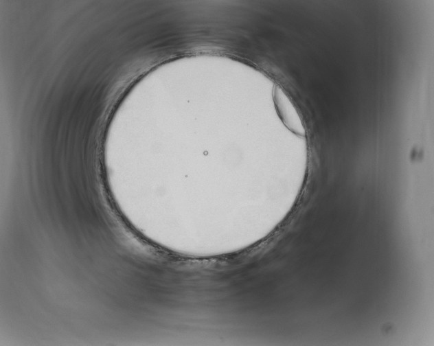 X0000112110049200909151234