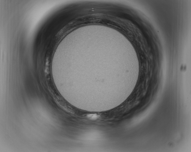 X0000112110050200909151234