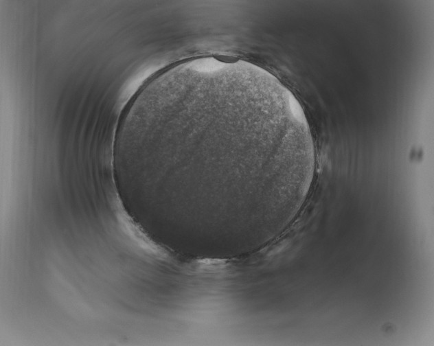 X0000112110052200909151234
