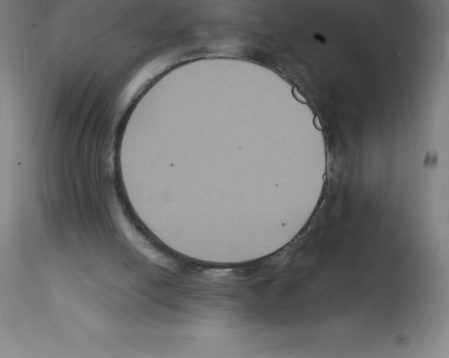X0000112110054200909151234
