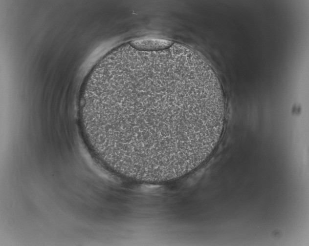X0000112110055200909151234