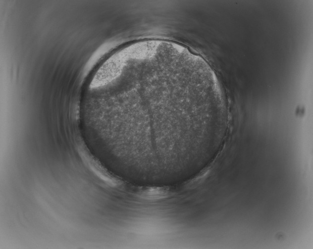 X0000112110056200909151234