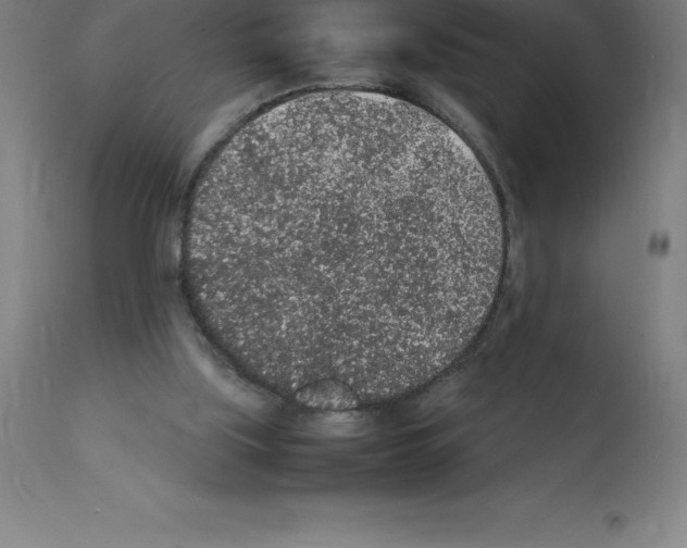 X0000112110059200909151234