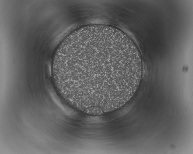 X0000112110061200909151234