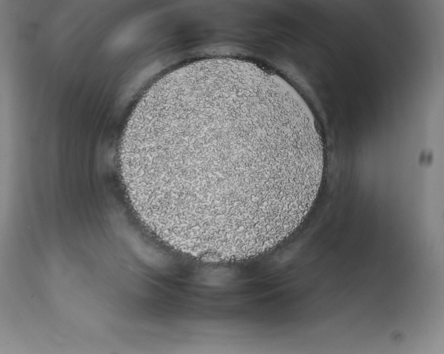 X0000112110063200909151234