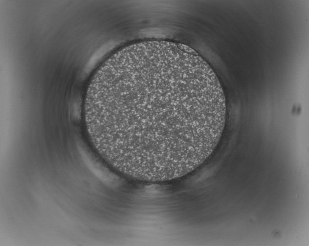 X0000112110064200909151234
