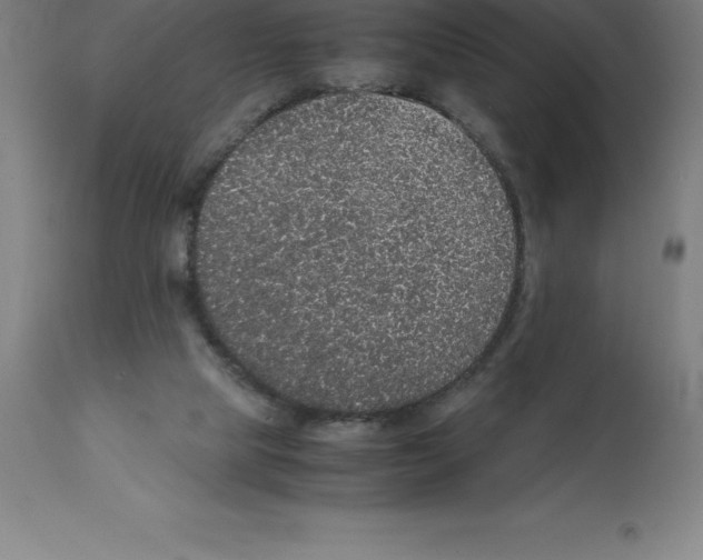 X0000112110065200909151234