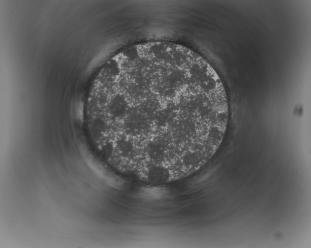 X0000112110067200909151234