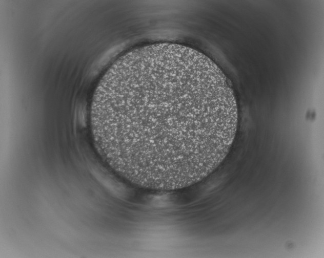 X0000112110068200909151234