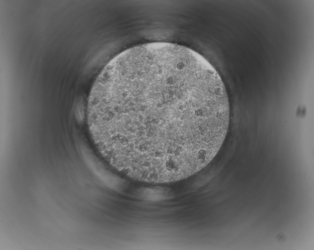 X0000112110069200909151234
