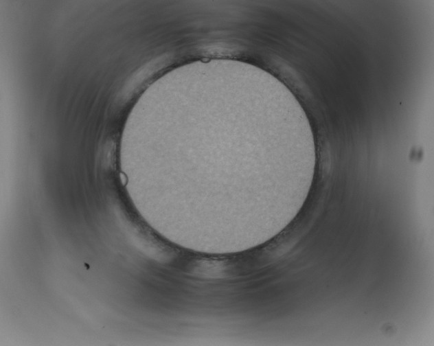 X0000112110071200909151234