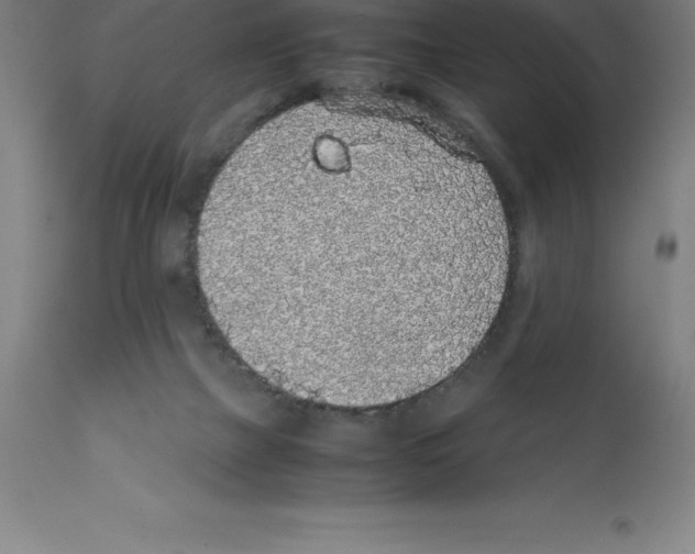 X0000112110073200909151234