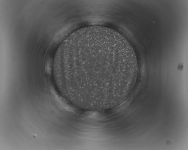 X0000112110074200909151234