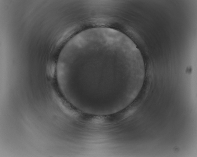 X0000112110076200909151234