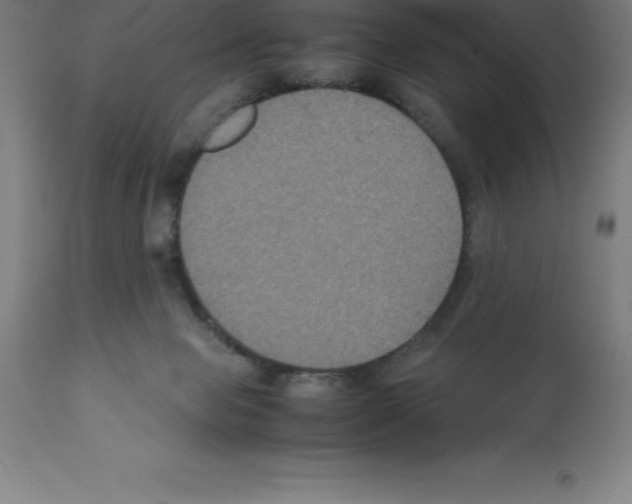 X0000112110077200909151234