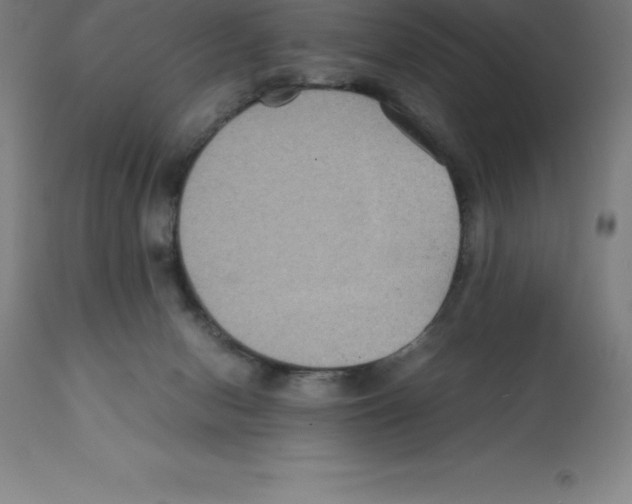 X0000112110078200909151234