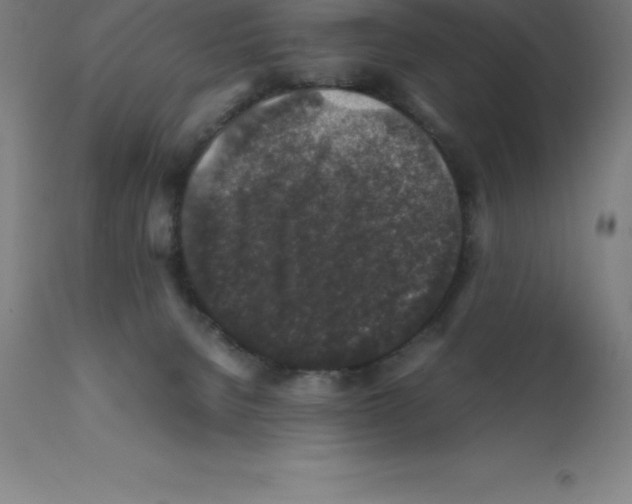 X0000112110080200909151235
