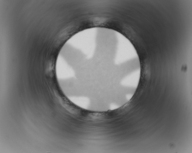 X0000112110082200909151235