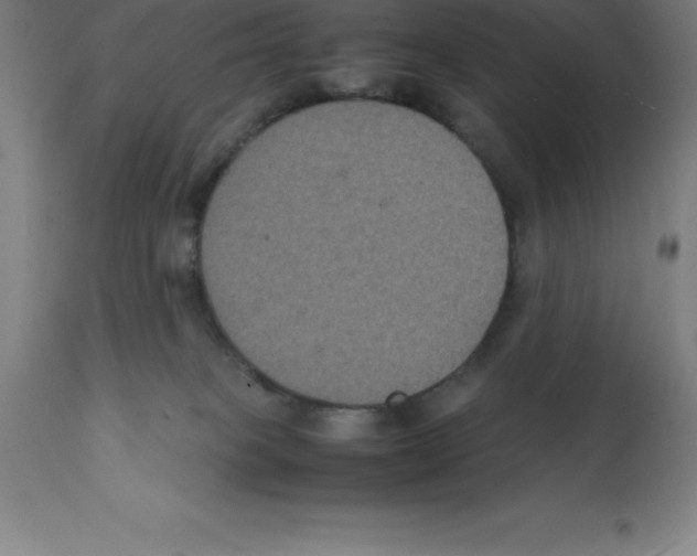 X0000112110085200909151235