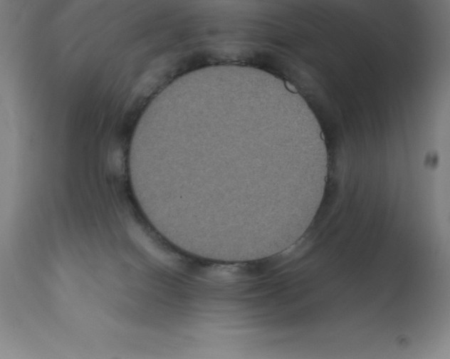 X0000112110086200909151235