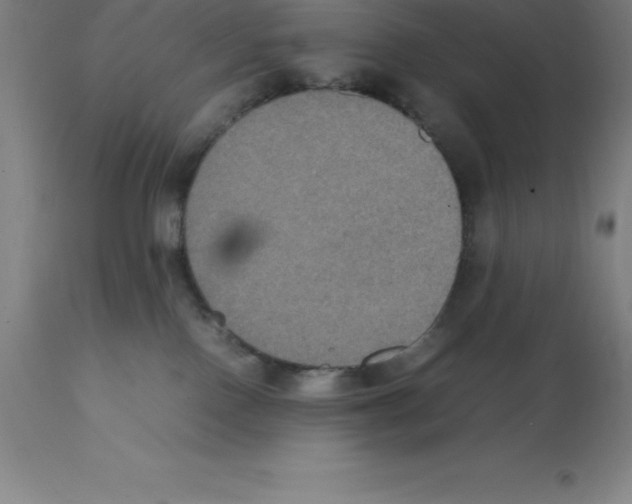 X0000112110090200909151235