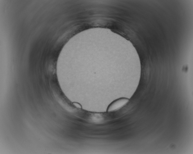 X0000112110091200909151235
