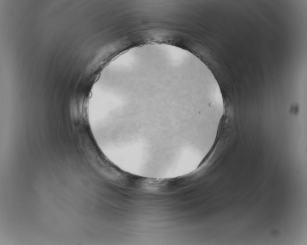X0000112110094200909151235