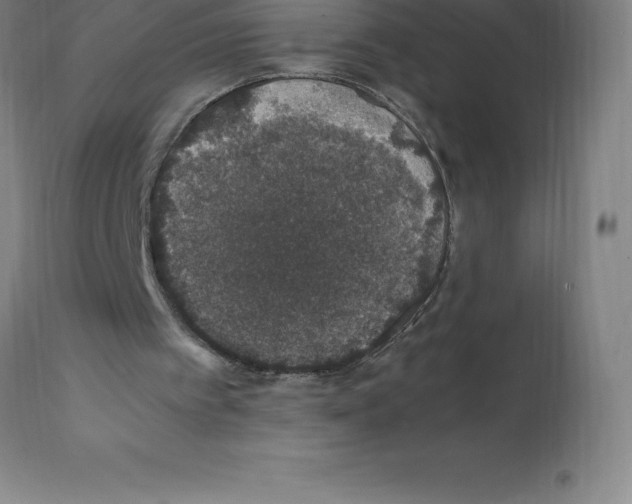 X0000112110097200909151234