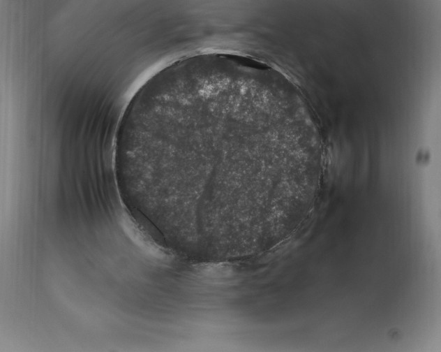 X0000112110100200909151234