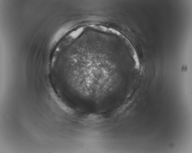 X0000112110101200909151234