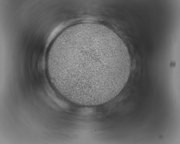 X0000112110102200909151234