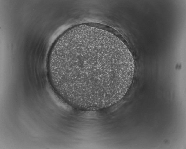 X0000112110104200909151234