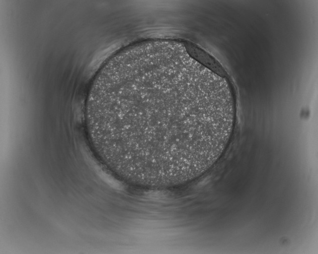 X0000112110105200909151234