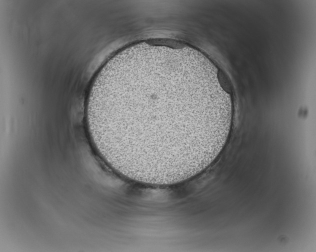 X0000112110107200909151234