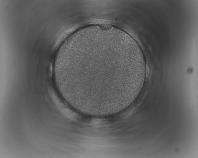 X0000112110109200909151234