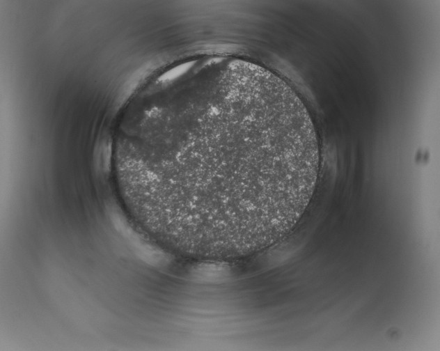 X0000112110110200909151234