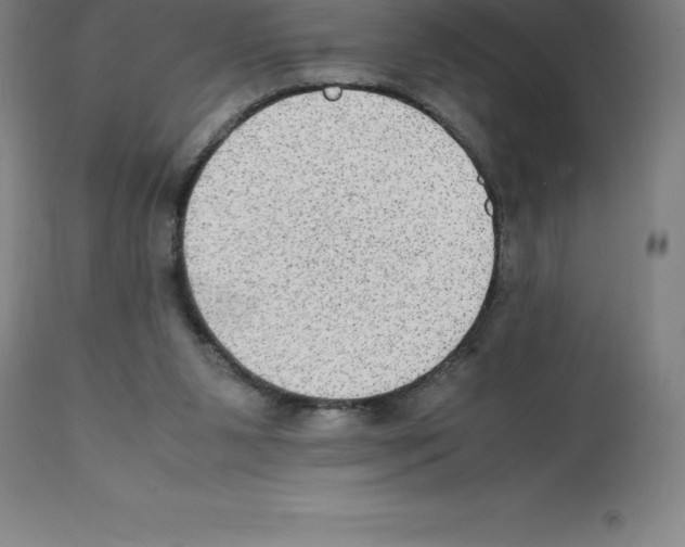 X0000112110111200909151234